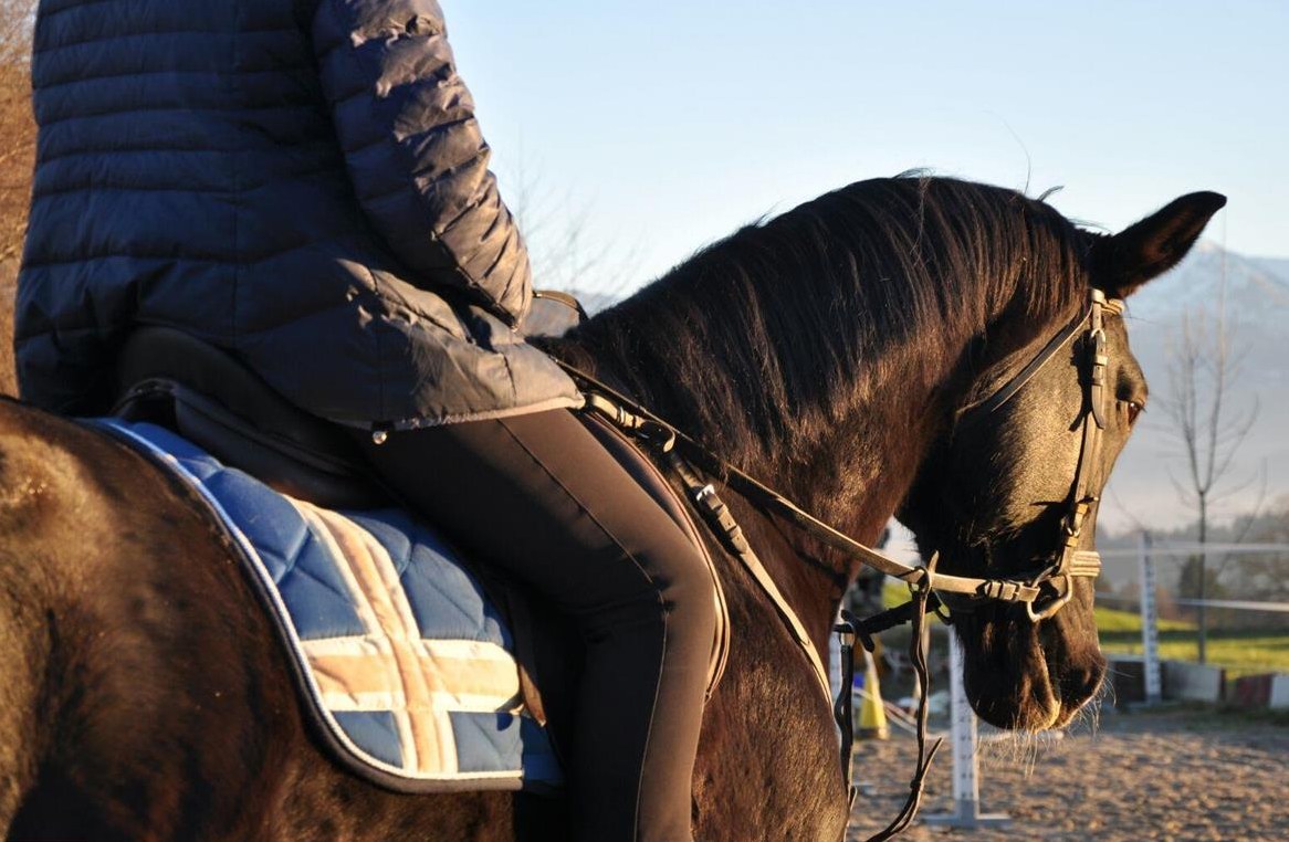 Praktikumsplatz ab März für mindestens 3 Monate frei