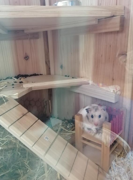 Liebevolle Haus-/Kleintierbetreuung im ZH-Oberland