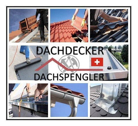 Dachdecker/-spengler (Steil/Flach) 100% CH-Deutsch-Schweiz