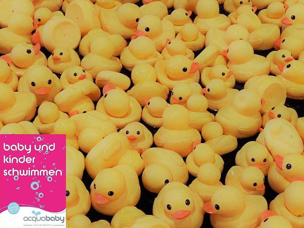 Schwimmleiterin am Dienstag Nachmittag in Rodtegg LU gesucht