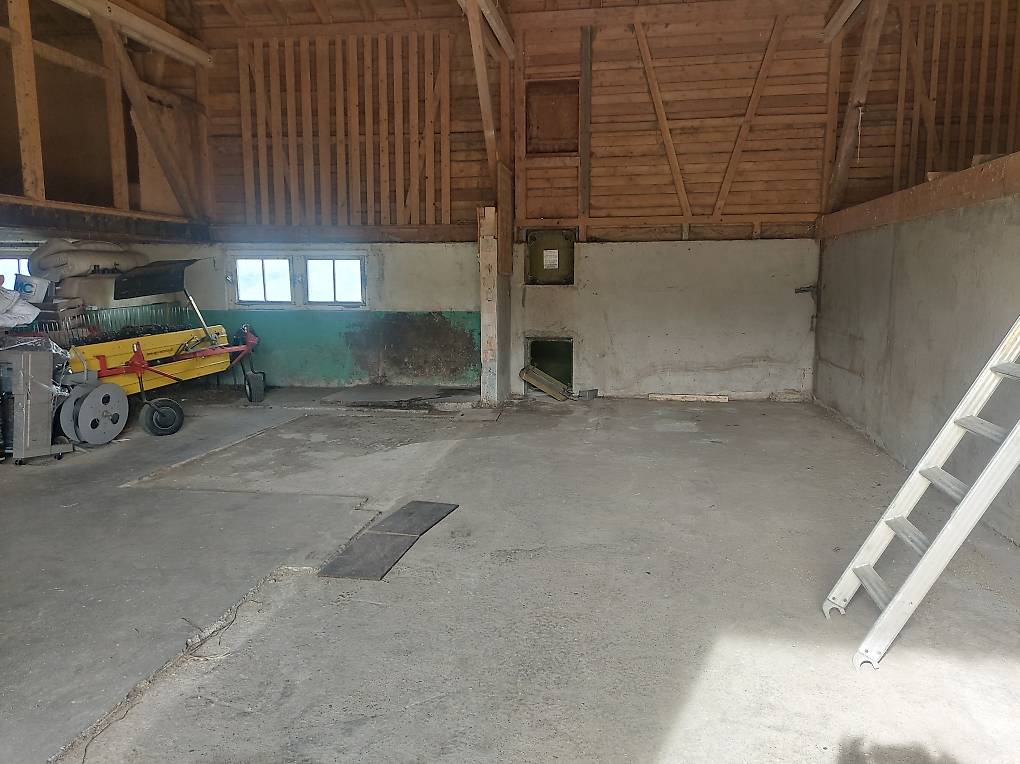 Umzug und Umbau Helfer gesucht