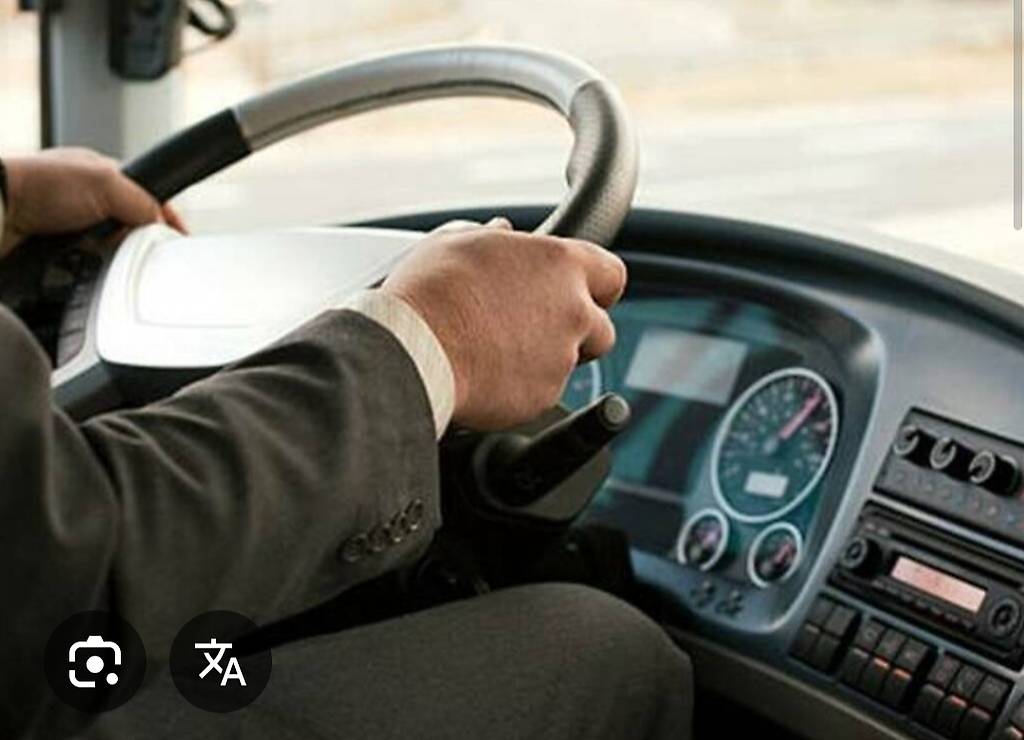 Autista con bus a 13 posti o solo autista con patente