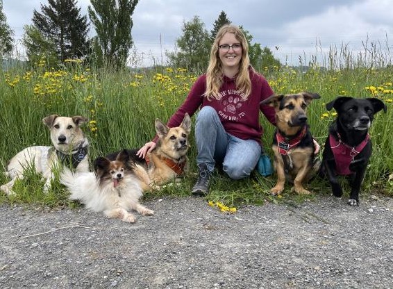Hundetagesbetreuung, Spazierdienst & Ferienbetreuung bei Ihnen zuhause
