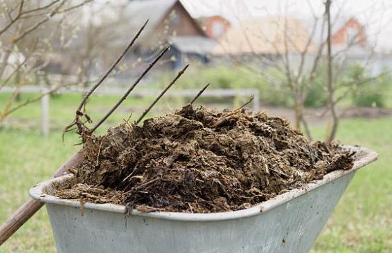 Kinderreithof & Pensionsstall sucht Pferdepflegerin 40%, Praktikantin 80%