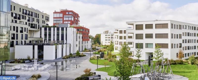 globegarden Kita Rotkreuz - zweisprachige Kinderkrippe de/en