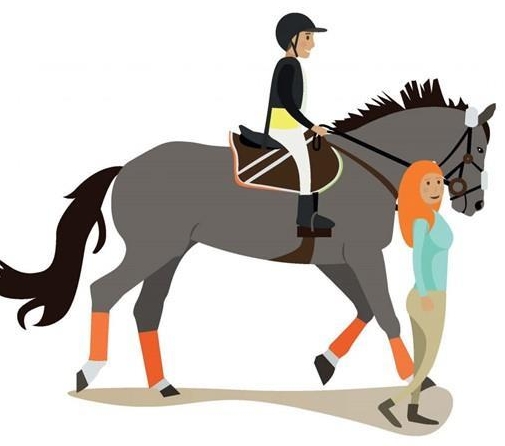 Suchen Reitlehrer/in auf Lektionen-Basis, als Freelancer