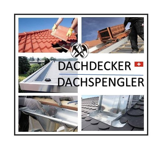 Dachdecker/-Spengler (CH-Kt. LU/BE/AG/ZH) - per sofort/laufend
