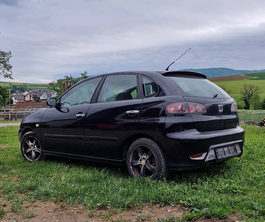 Seat Ibiza Cupra 1.9 tdi