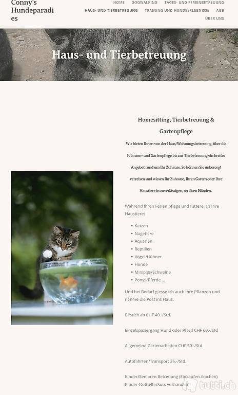 Haustierbetreuung, Hundebetreuung