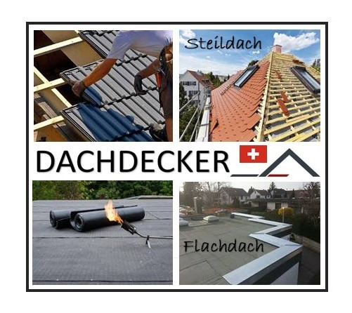 Dachdecker (Steil-/Flachdach) CH-Kt. Deutsch-Schweiz -per sofort