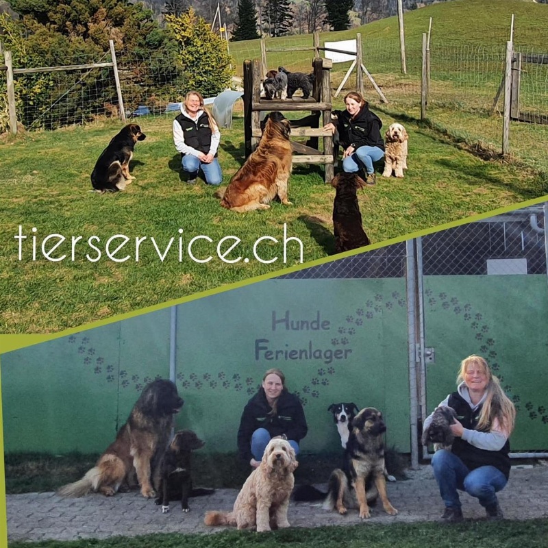 Bieten Lehrstelle Tierpflegerin EFZ Heimtiere