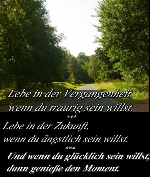 Zuverlssige und liebevolle CH-Perle gesucht