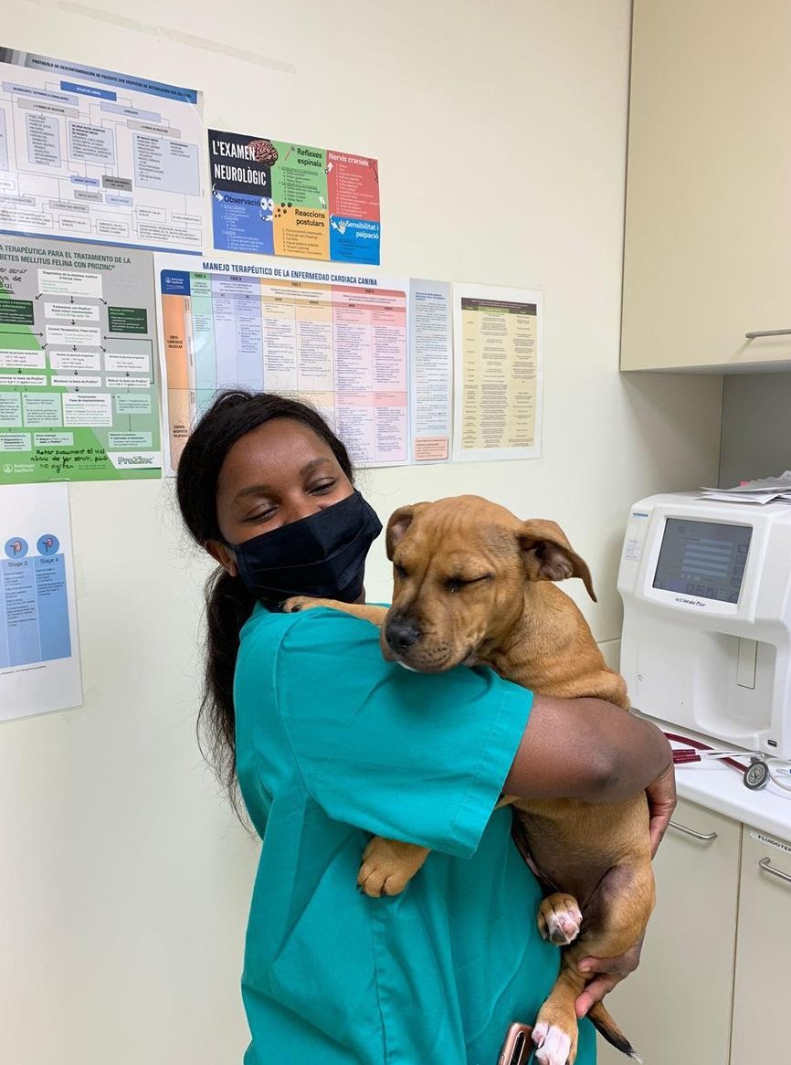 Veterinärtechnikerin sucht Job in Klinik, Bauernhof oder Zoo