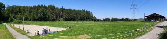 Illnau-Effretikon; Platz frei für 1 Wallach im 2er Stallteil