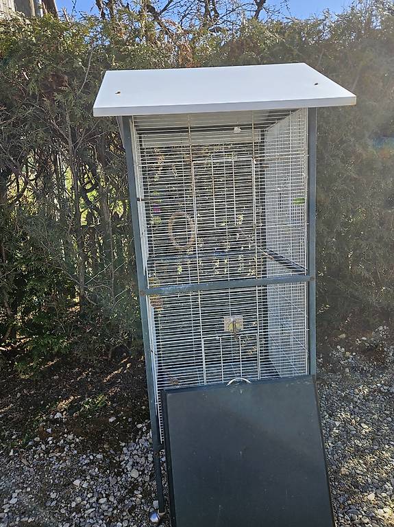 Voliere zu verkaufen