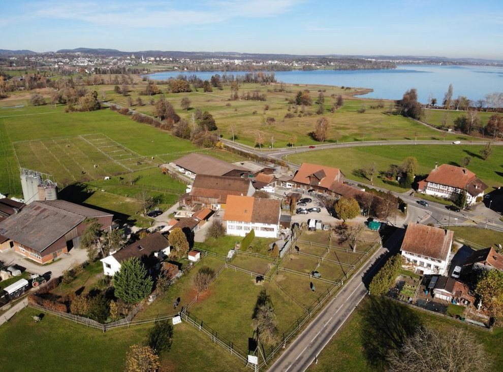 Suchen Pferdfachperson / StallmitarbeiterIn | Stall Chez Max