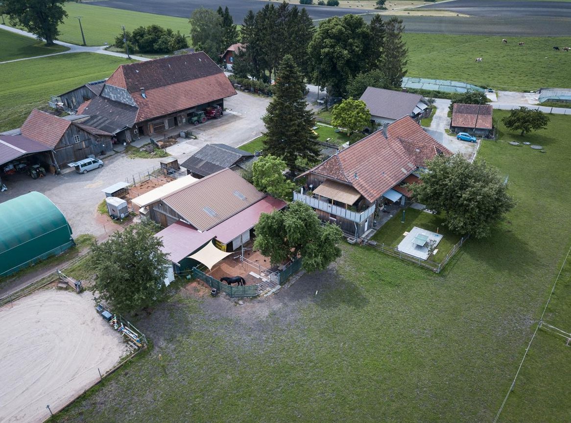 Suchen Stallhilfe in 3226 Treiten BE