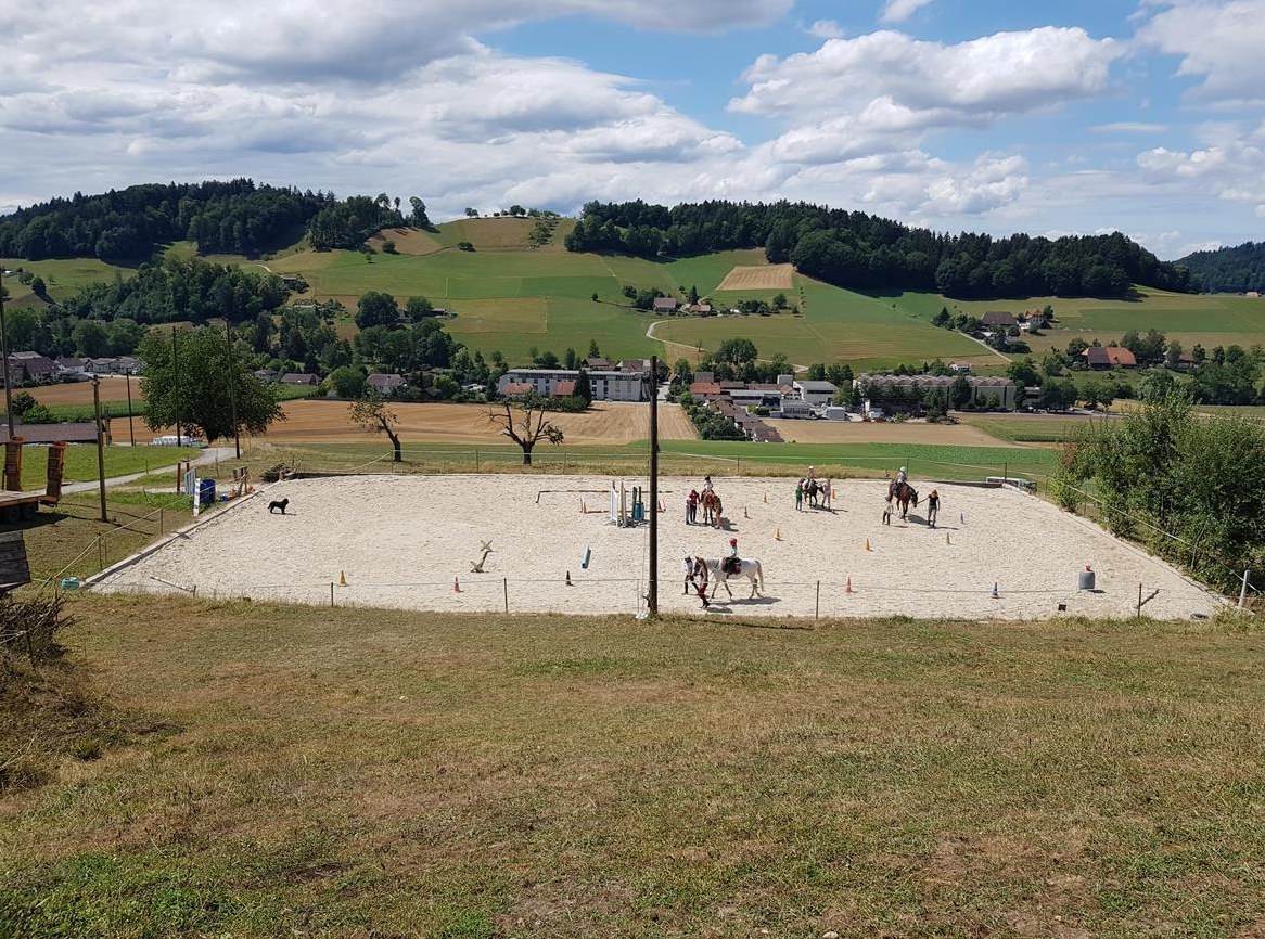 Praktikum/Lehre auf Pony & Pferdehof ab 1. August