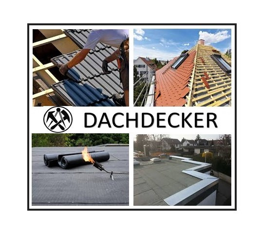 Dachdecker (Steil-/Flachdach) CH-Kt. BE/Oberaargau