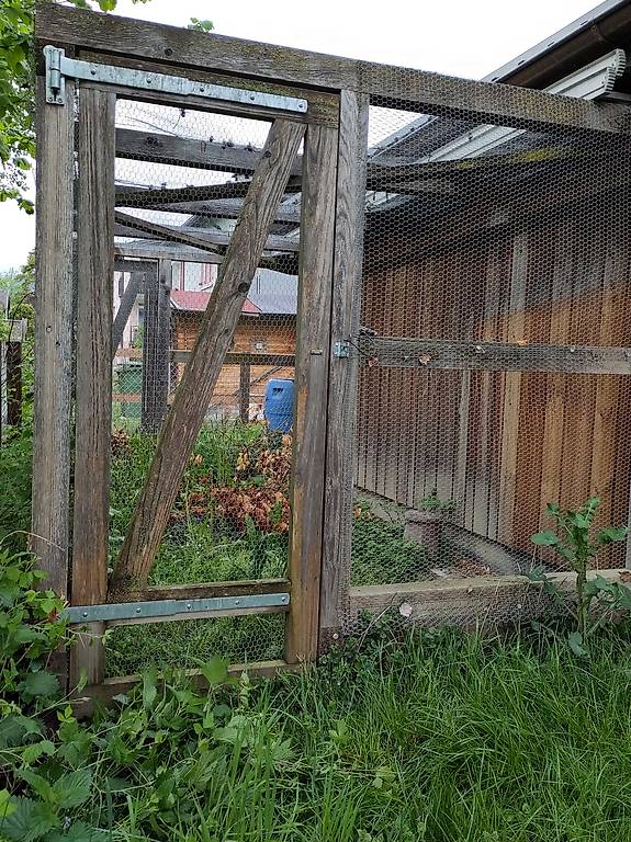 Hühnerauslauf (Anbau)