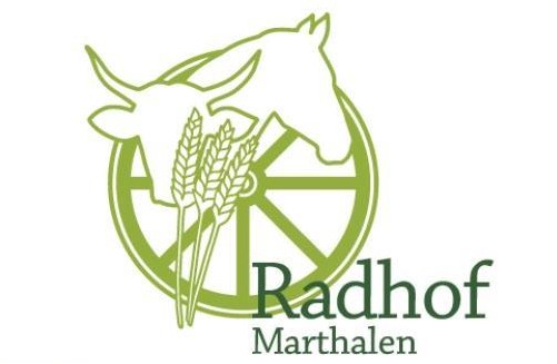 Suchen Stallhilfe / Pferdefachfrau/-mann / Allrounder