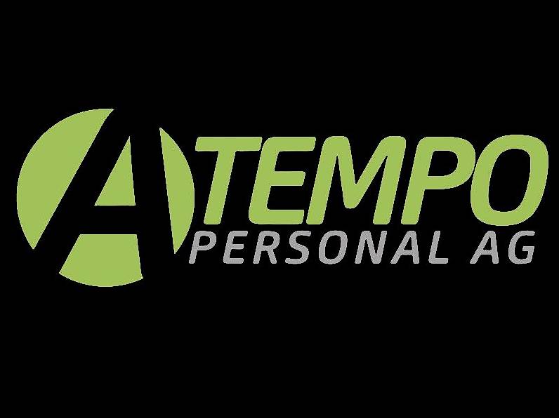 Plattenleger in Aarau