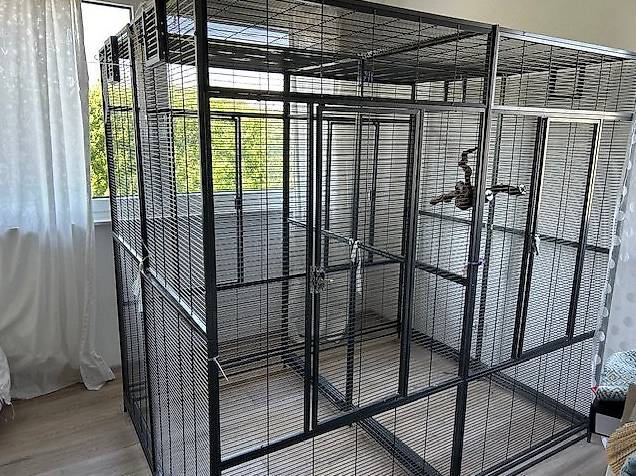 Voliere XXL gebraucht