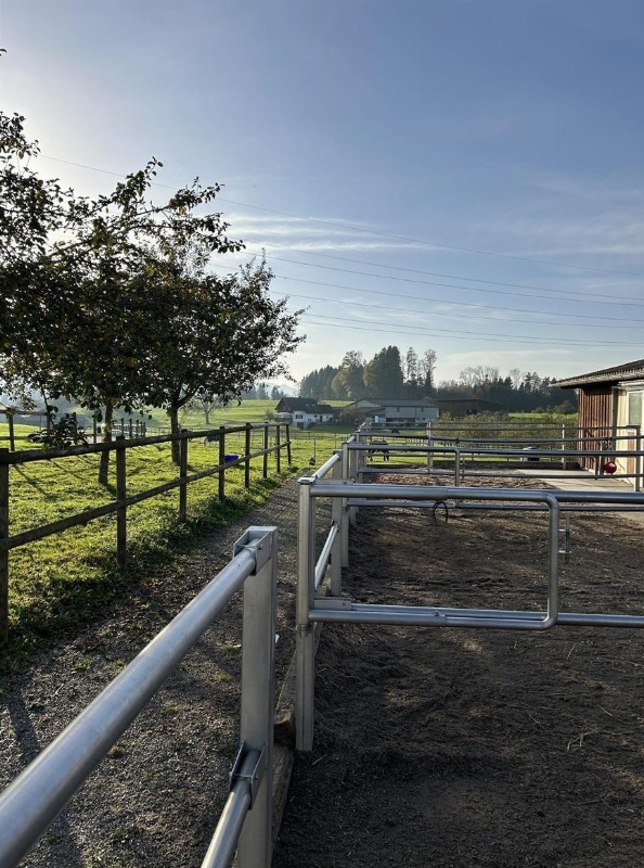 Suchen Stallmitarbeiterin für 3 Halbtage / Woche