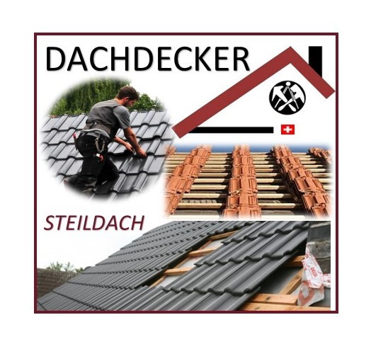 Dachdecker Steildach (CH-Kt. Zürich) - per sofort