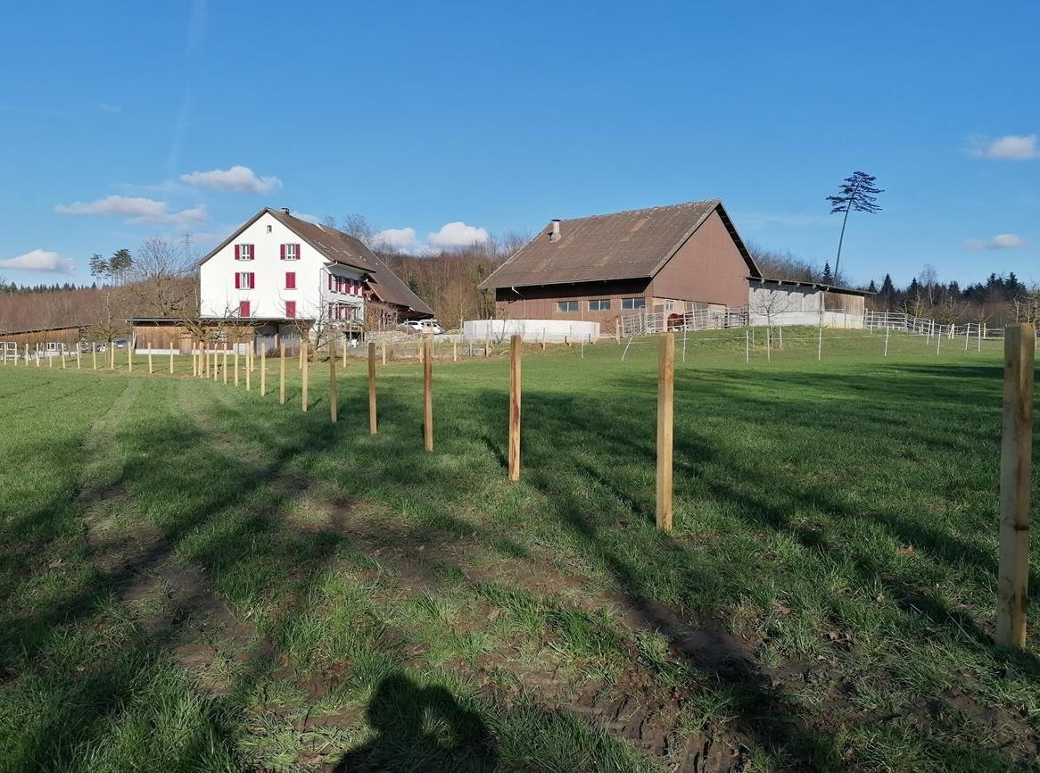 Suchen STALLHILFE auf Landwirtschaftsbetrieb mit Pferden