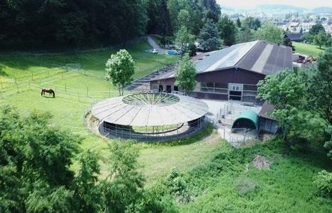 Suchen Stallmitarbeiter in Sportstall, Rossrüti SG