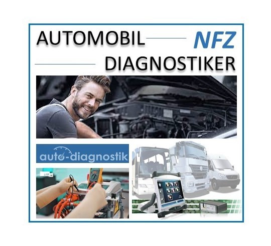Automobil-Diagnostiker NFZ 100% (Kt. Aargau)