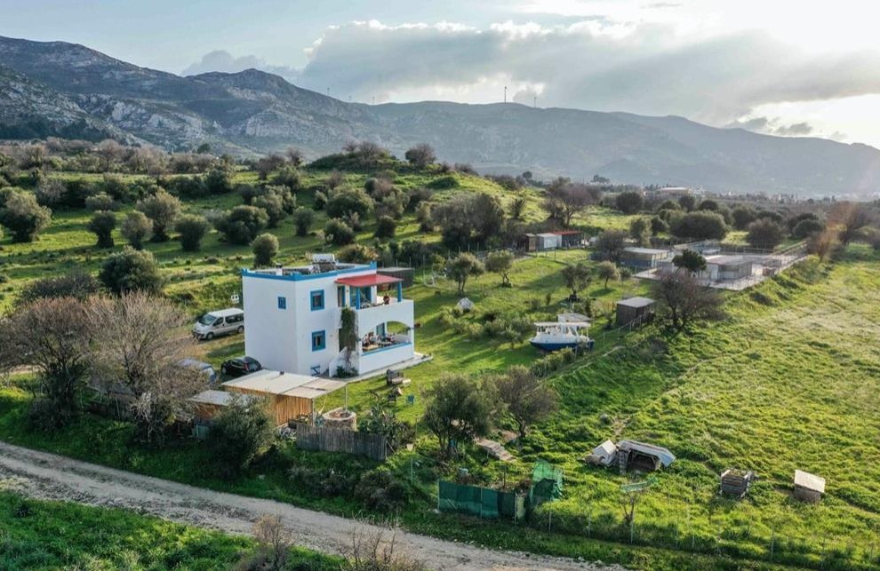 Suchen Stellvertretende Tierheimleitung auf Kos Griechenland
