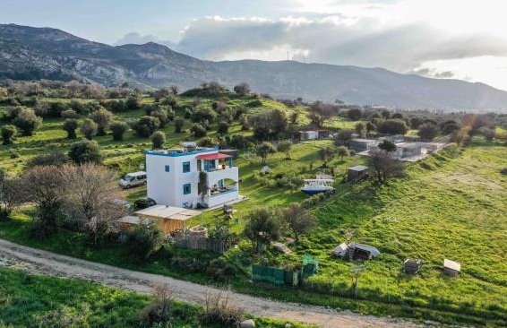 Suchen Stellvertretung Tierheimleitung | Kos, Griechenland