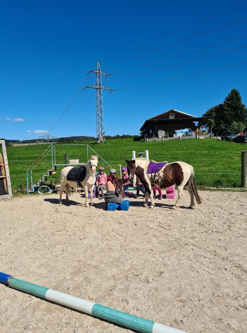 Suchen Hippolini-Lehrkraft/Reitpädagogin/Reitlehrerin