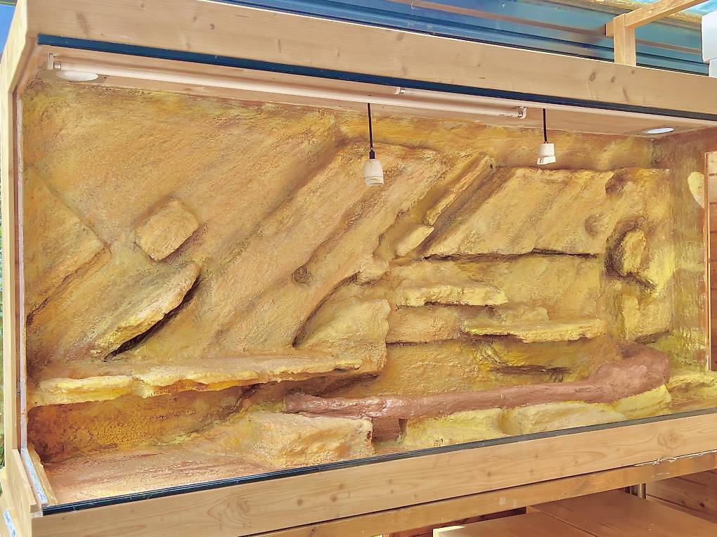 Terrarium vom Profi für Geckos, Skinks, Schlangen, etc.