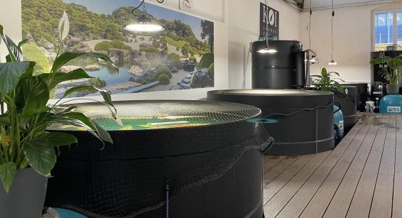 Suchen Mitarbeiter Fischverkauf und -Betreuung 50%