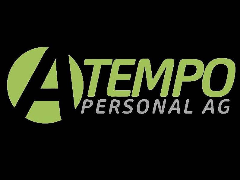 Plattenleger in Winterthur