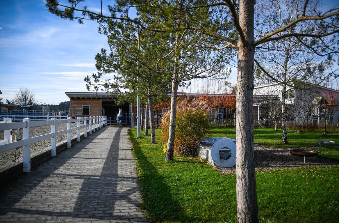 Stallhilfe (Thurgau) gesucht für Pferdestall in Basadingen