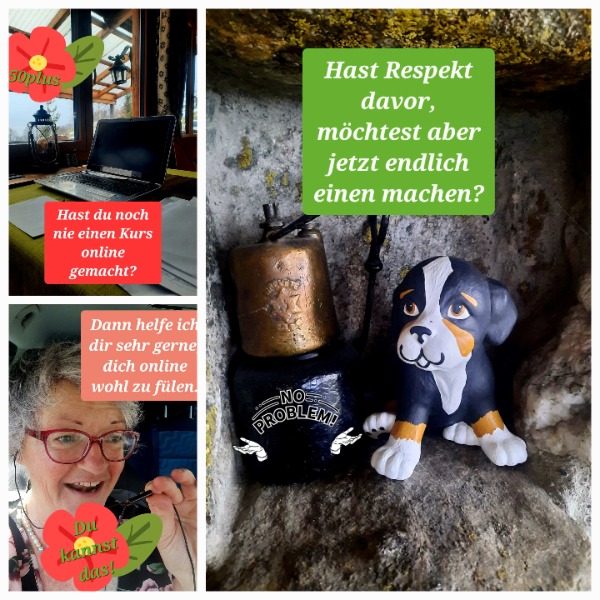 Mit 50+ noch einmal durchstarten