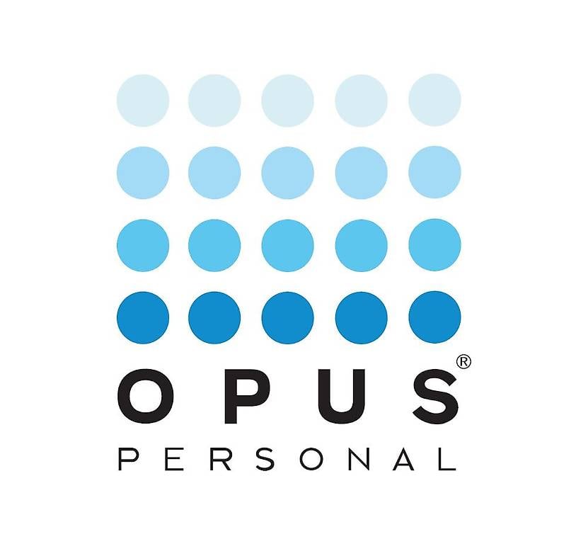 Intonacatore Bellinzonese