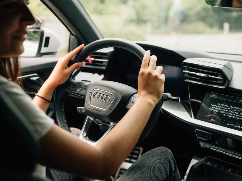 Aushilfs Fahrer mit Befähigungsnachweis für Pferde gesucht